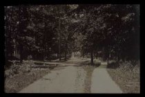 Slide #426  East end of Ravine